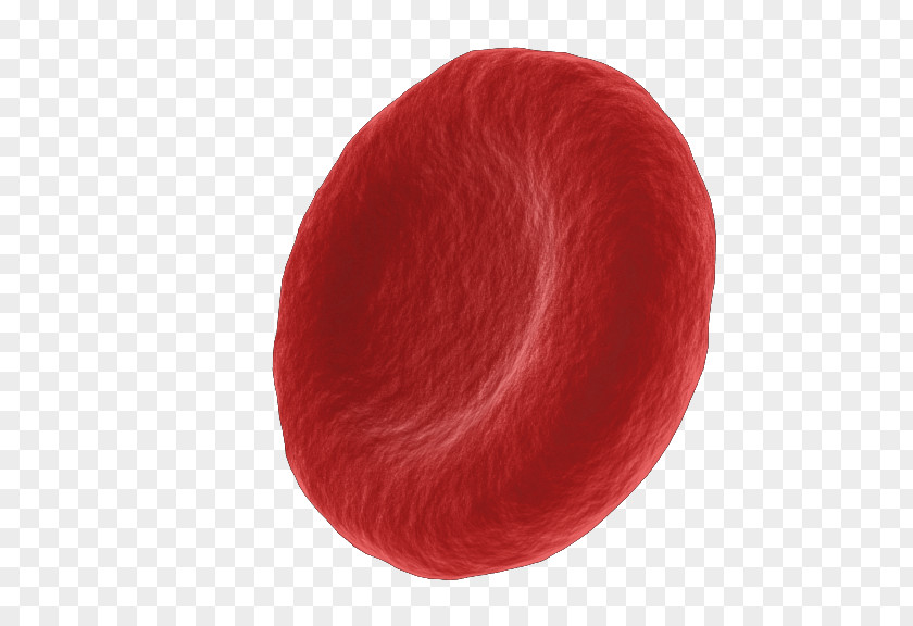 A Red Blood Cell PNG