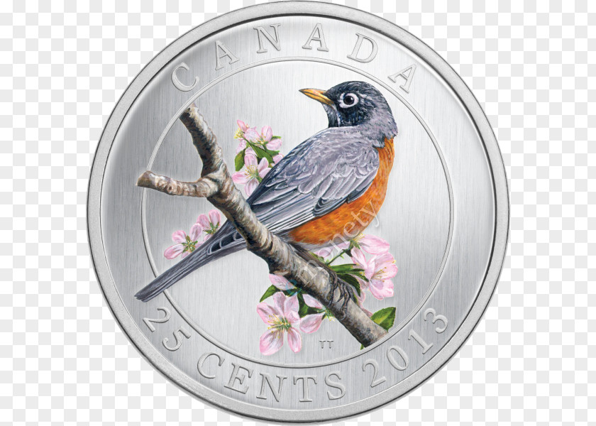 Bird Quarter Coin American Robin Cent PNG