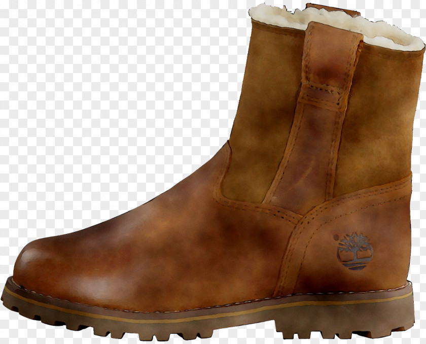 Boot Alpe Shoe Leather Alps PNG