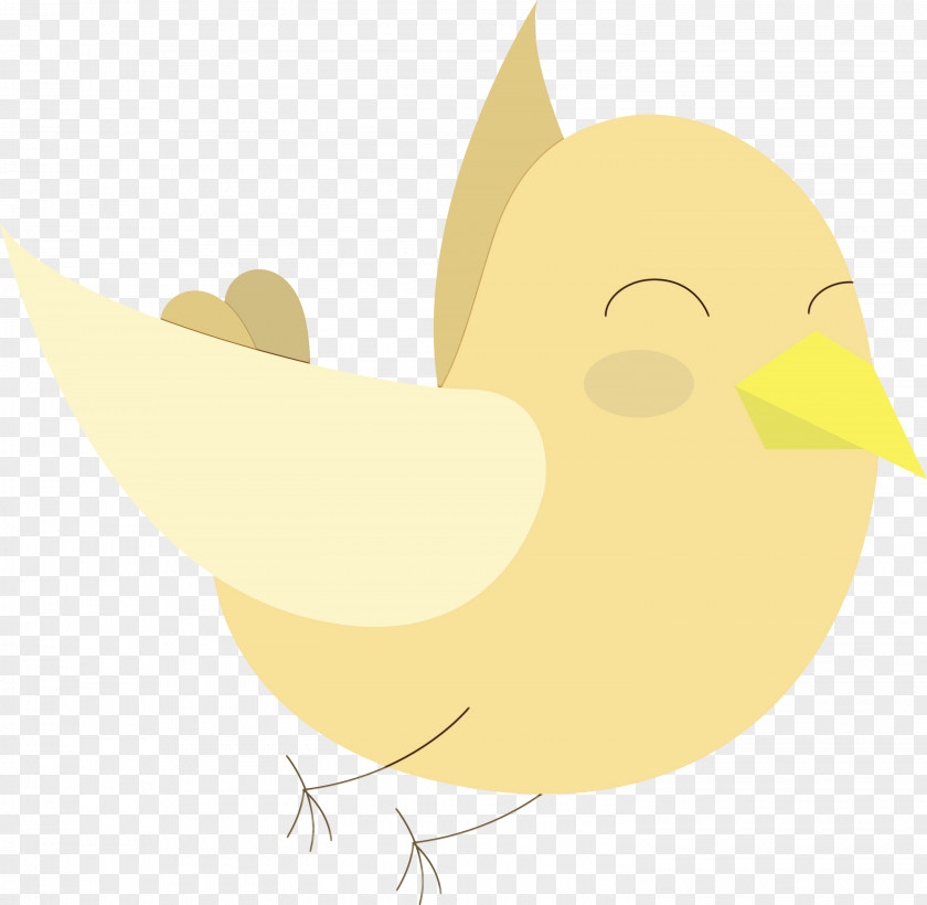 Duck Ducks Birds Chicken Water Bird PNG