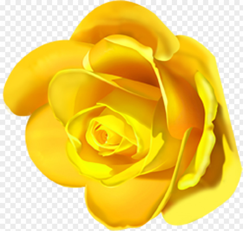 Flower Garden Roses Lilium Clip Art PNG