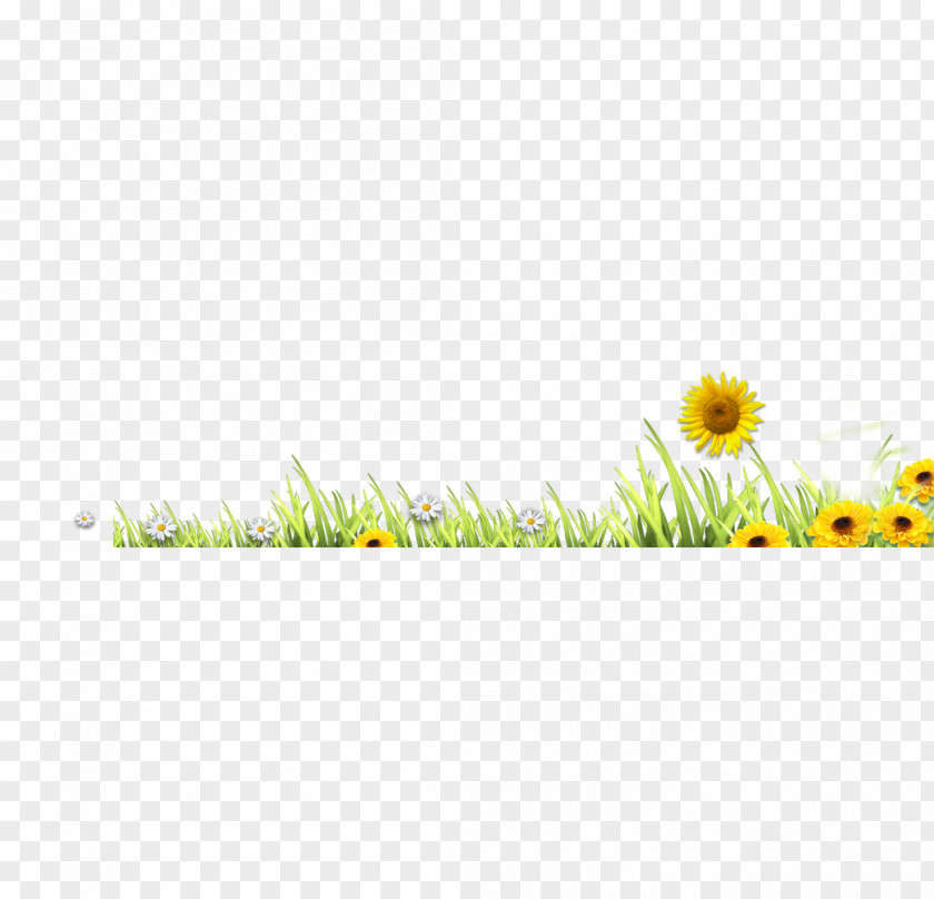 Meadow Flowers And Green Grass Material Lawn PNG
