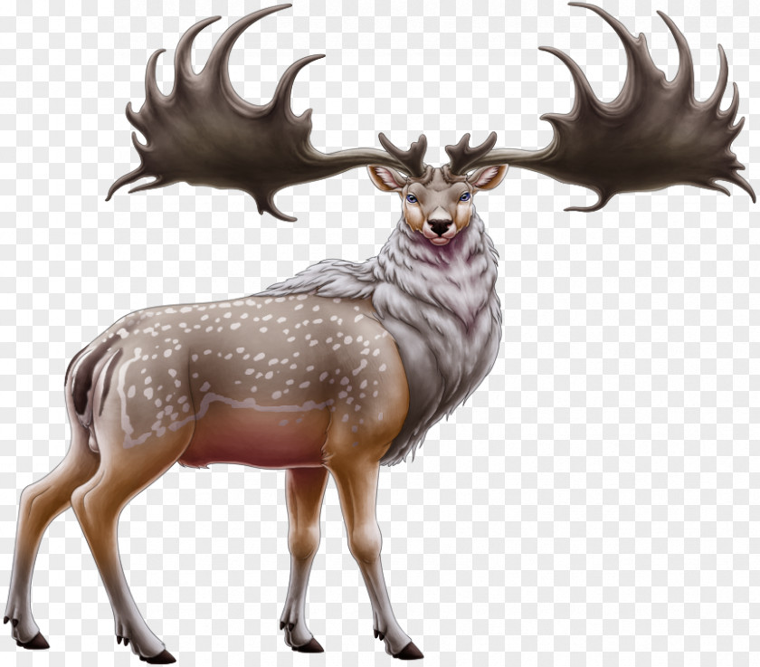 Reindeer Elk Moose Antler PNG