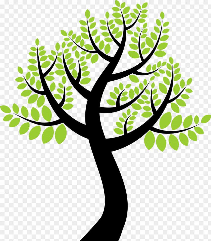 Tree Trunk Clip Art PNG