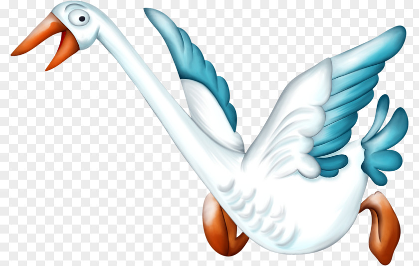 Beautiful White Swan Duck Bird Cygnini Clip Art PNG