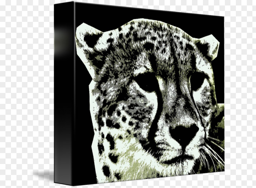 Cheetah Leopard Jaguar Cat Mammal PNG