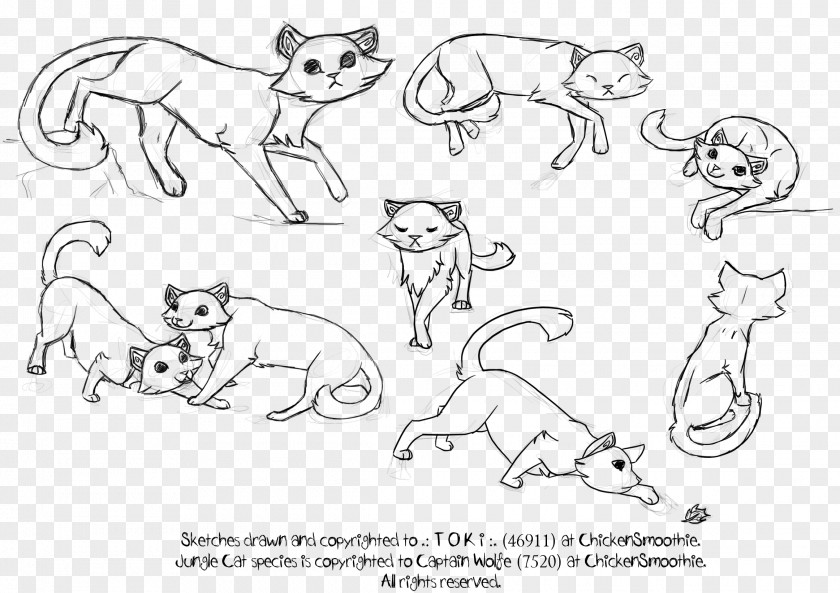 Dog Cat Drawing Line Art Sketch PNG