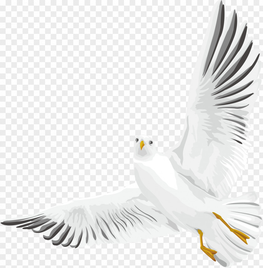 Hand Painted Wild Goose Decoration Design Vector Rock Dove Columbidae Bird Euclidean PNG