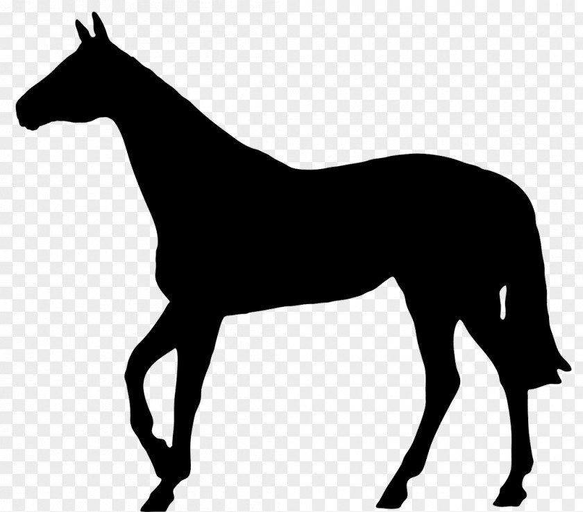 Horseshoe Thoroughbred Pony Silhouette Horse Racing PNG