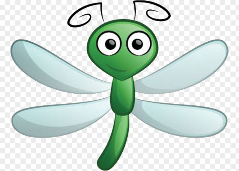 Insect Drawing Cartoon Clip Art PNG