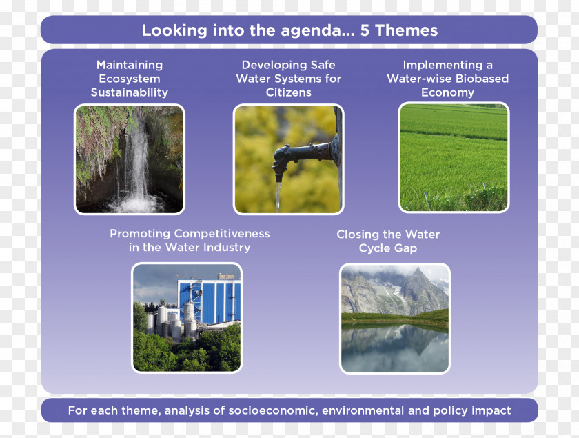 Into Water Resources Ecosystem Lawn PNG