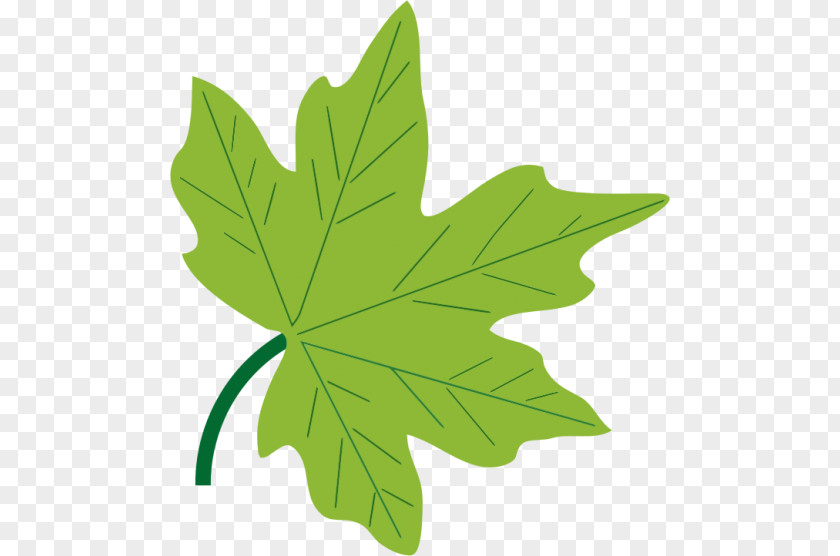 Leaf Desktop Wallpaper Clip Art PNG