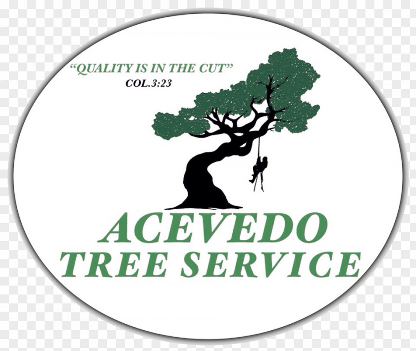 Tree Seven King's Expert Service & Stump Grinding Arborist Grinder PNG