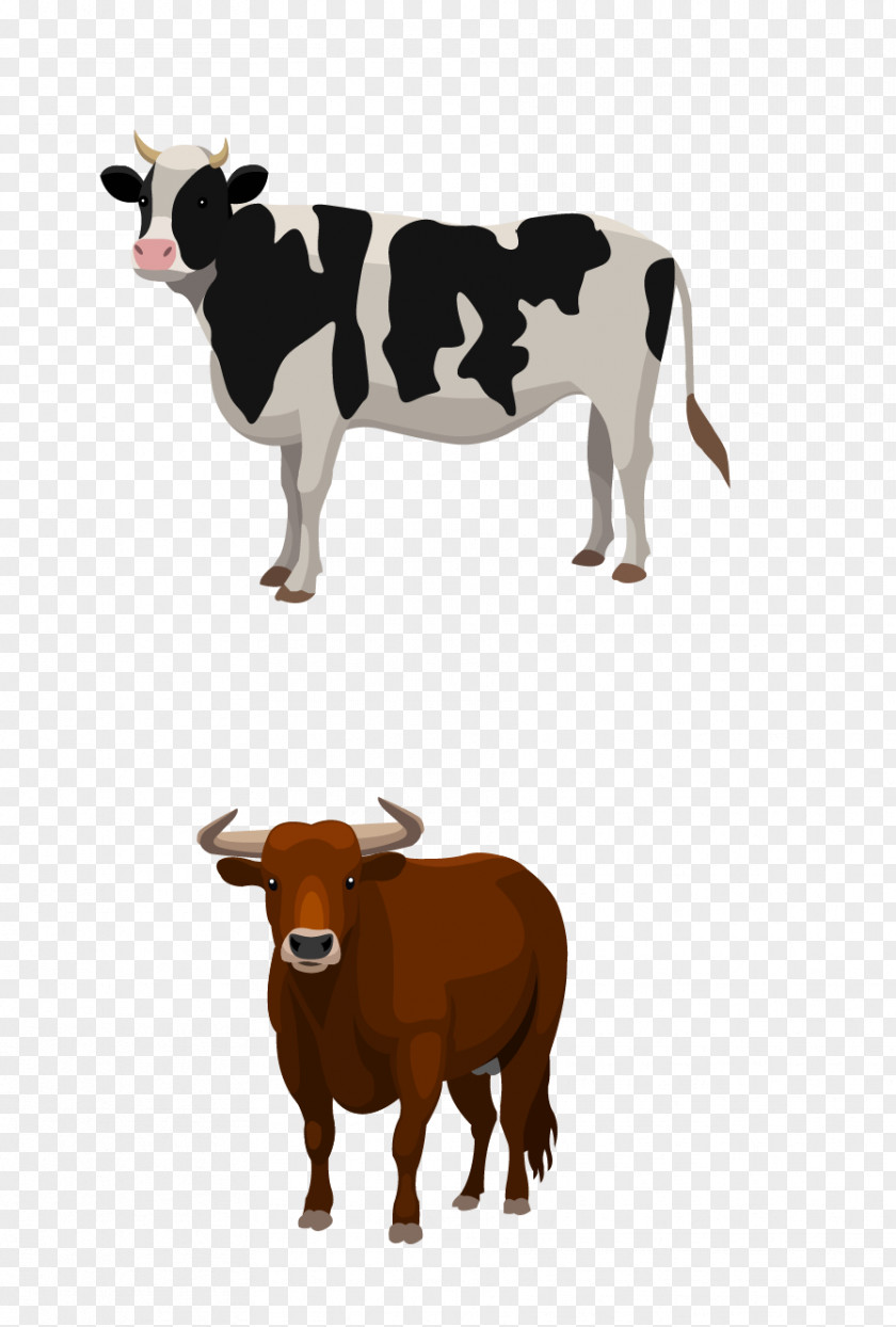 Dairy Cow Sheep Cattle Livestock Farm PNG