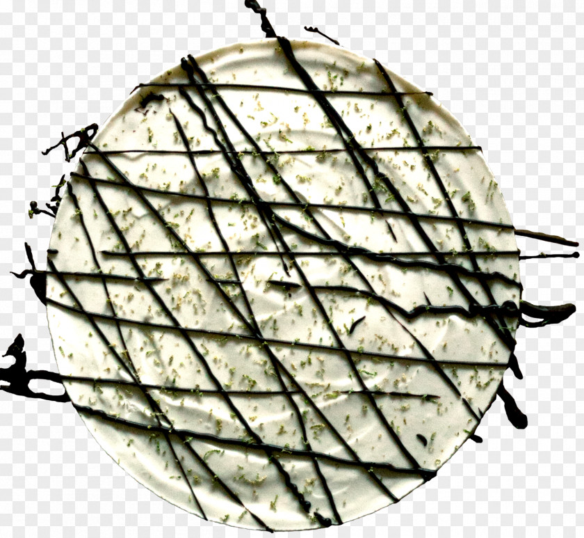 Dill Circle Line Point Sphere PNG