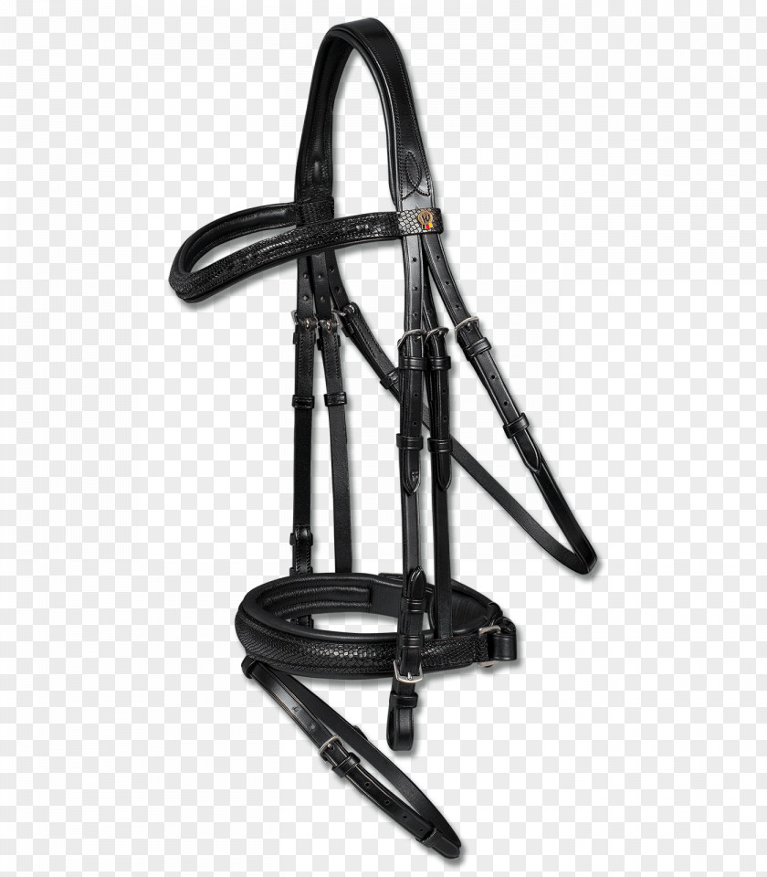 Medicine Snake Curb Bit Bridle Equestrian Cob PNG