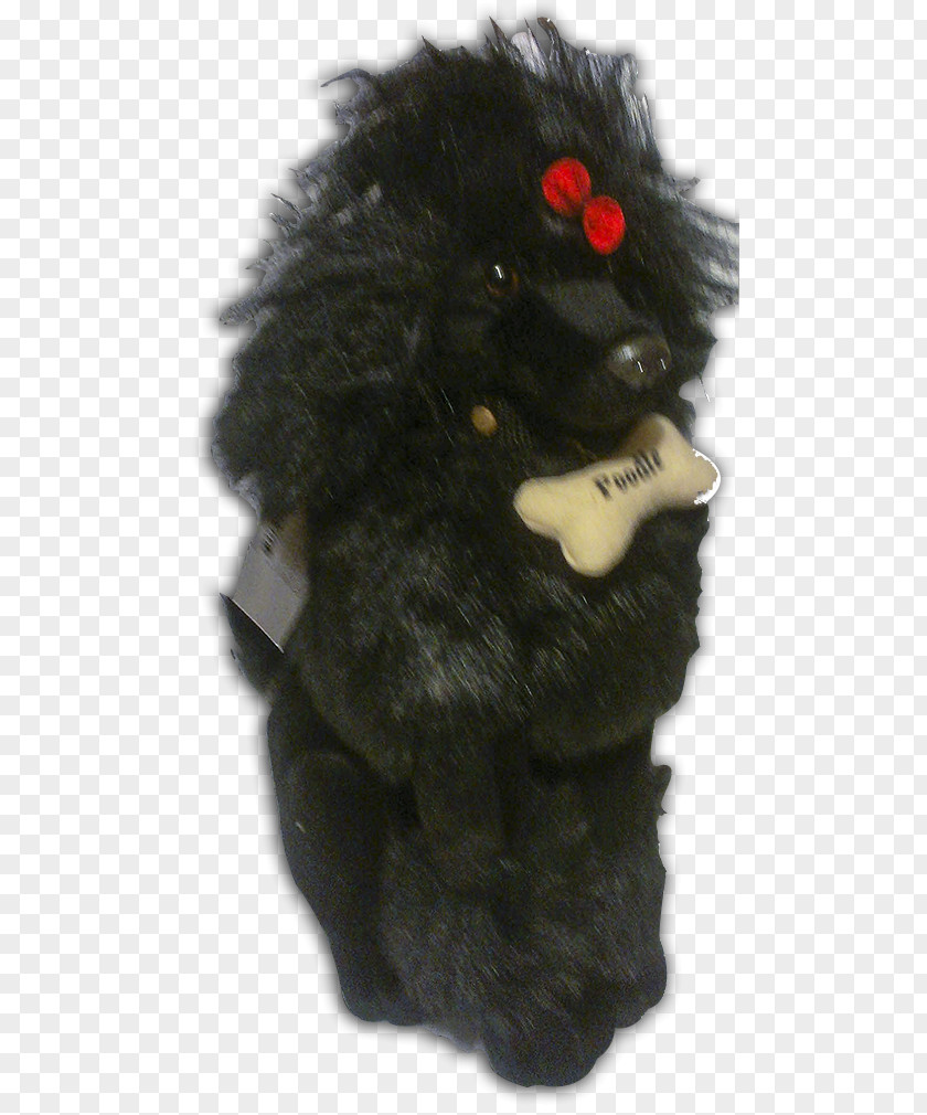 Poodle Dog Breed Fur PNG