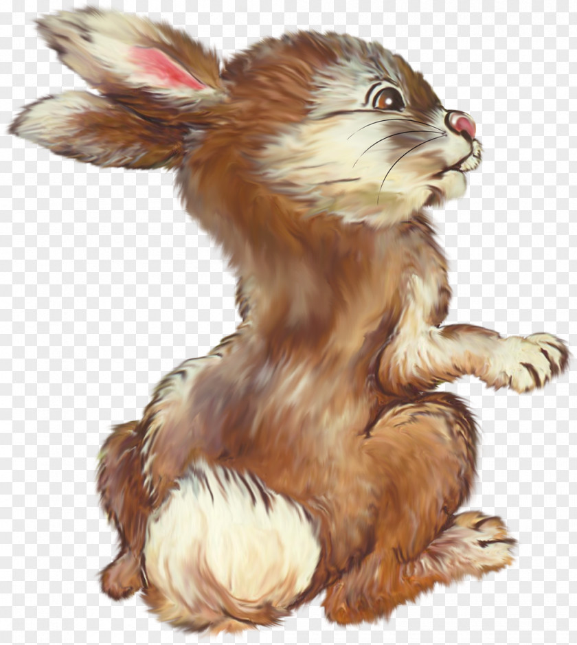 Rabbit Drawing Dog Hare .de Wildlife PNG