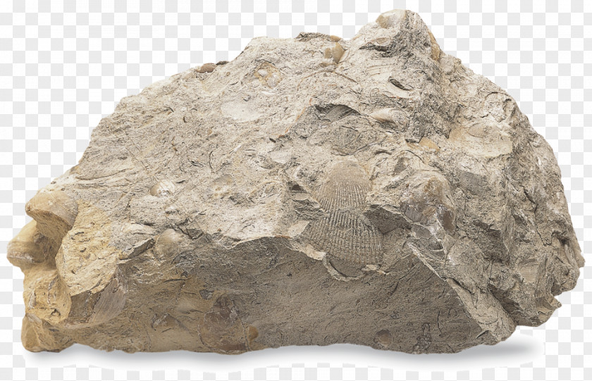Silt Sedimentary Rock Limestone Mineral PNG