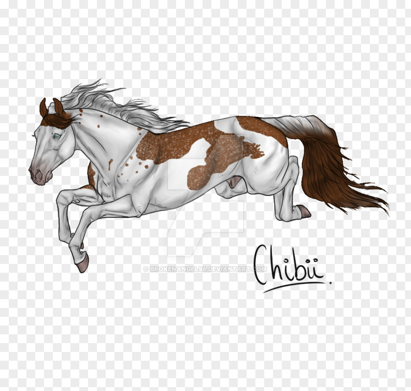 Wild Child Mane Mustang Foal Stallion Pony PNG