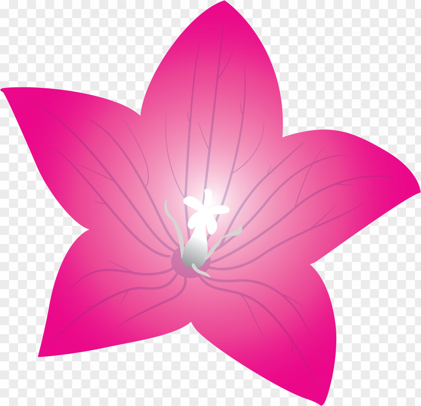 Balloon Flower PNG