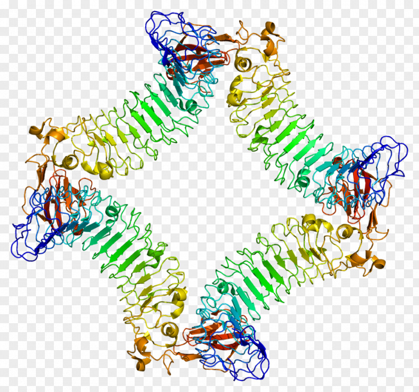 Ensembl LINGO1 G Protein–coupled Receptor Leucine-rich Repeat Neuroprotection PNG