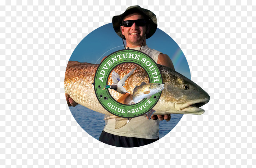 Fish Anglerfish Fishing Marketing Web Design PNG