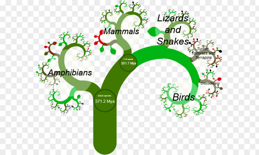Kemetic Tree Of Life Leaf Illustration Product Design Ecosystem Brand PNG