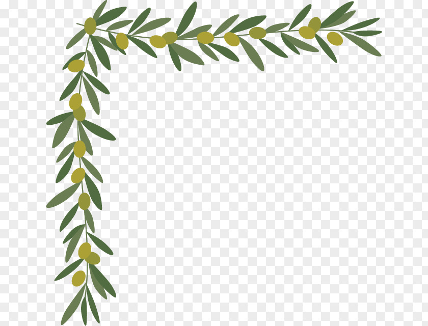 Leaf Borders And Frames Olive Twig Clip Art PNG