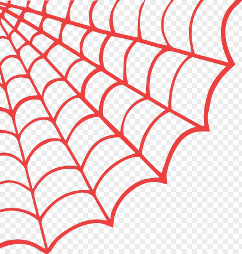 Spider Web Drawing Clip Art PNG