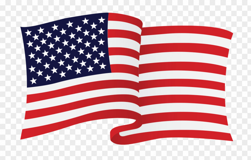 Usa Flag Grung Of The United States Thirteen Colonies Clip Art PNG