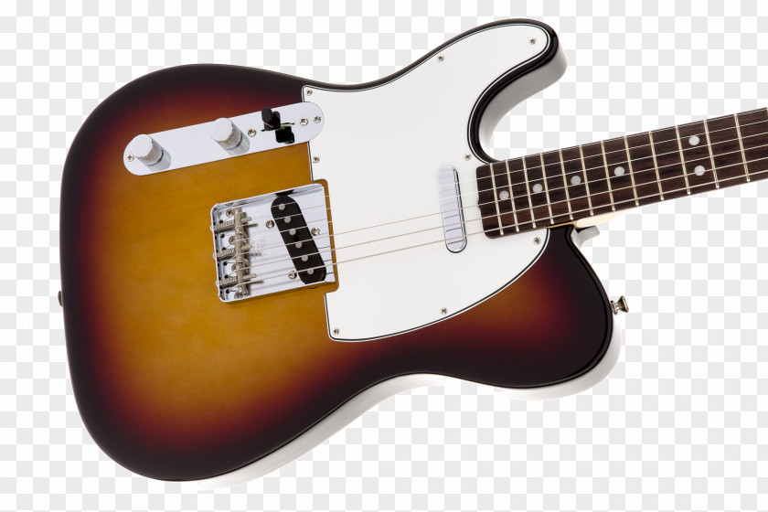 Acoustic Guitar Electric Bass Fender Musical Instruments Corporation PNG