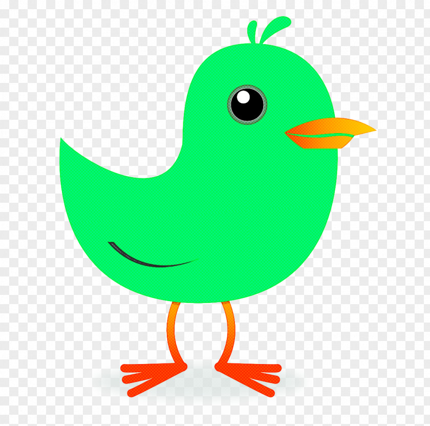 Bird Green Beak Cartoon Water PNG