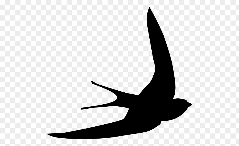 Bird Swallow Common Swift Swiftlet Shape PNG