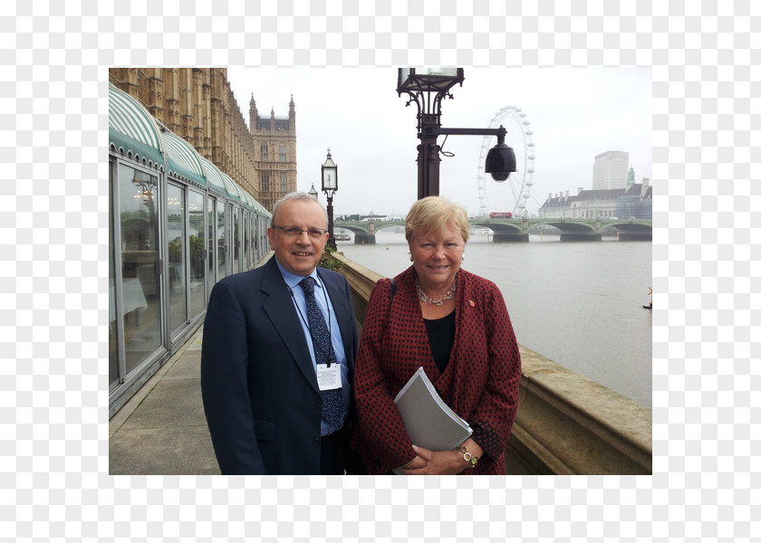 London Eye Lampton School Water Energy National Secondary PNG