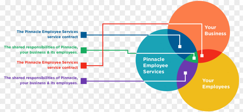 Service Personnel Shared Services Employee Benefits Human Resource PNG