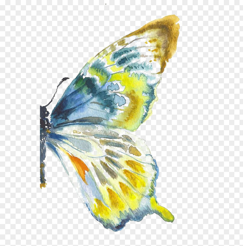 Butterfly Watercolor Painting Drawing Art PNG
