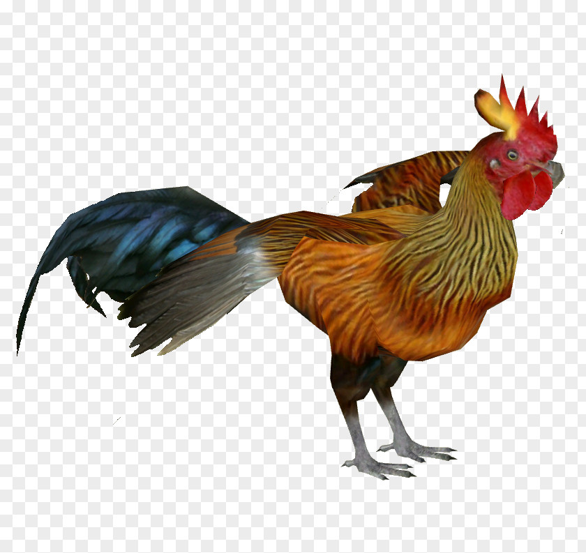 Chicken Rooster Sri Lankan Junglefowl PNG