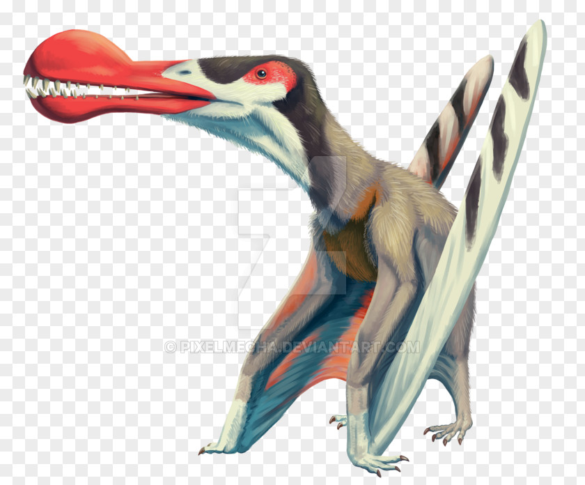 Dinosaur Quetzalcoatlus Velociraptor Ornithocheirus Pterodactyls Rhamphorhynchus PNG