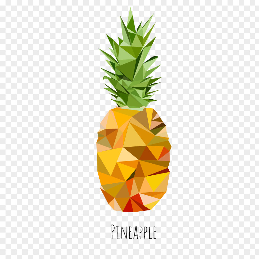 Opera House Art Low Poly Pineapple Vector Graphics Clip Drawing Illustration PNG