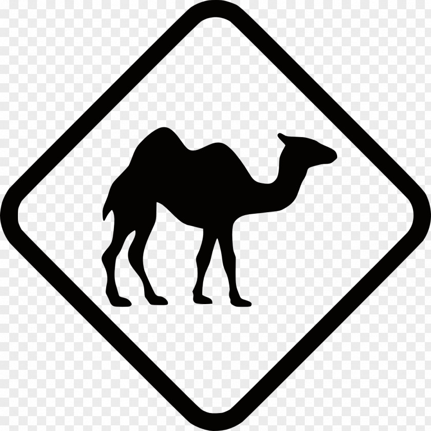 Road Dromedary Bactrian Camel Traffic Sign Australian Feral PNG
