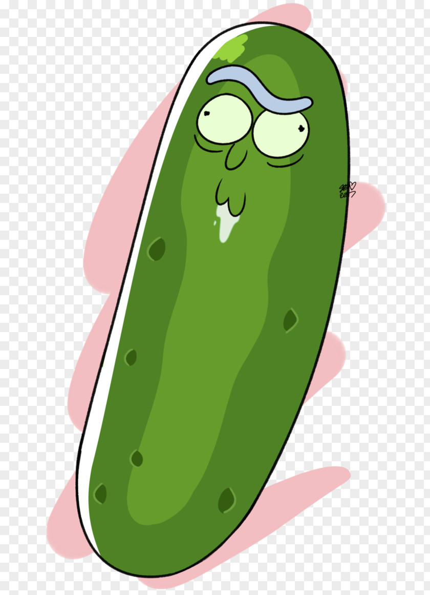 Watermelon Pickle Rick Pickled Cucumber PNG