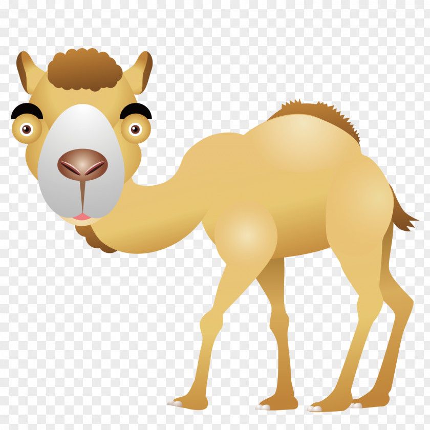 Desert Camel Computer File PNG