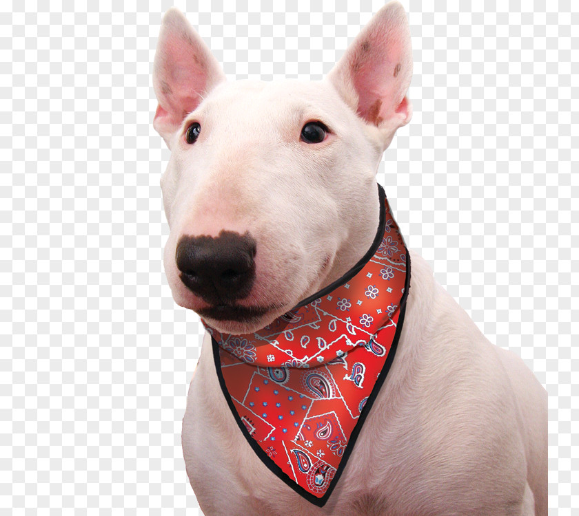 Dog Kerchief Scarf Pet Clothing PNG