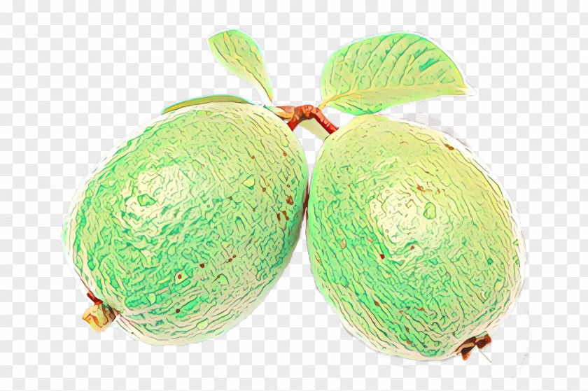 Feijoa Food Fruit Plant PNG