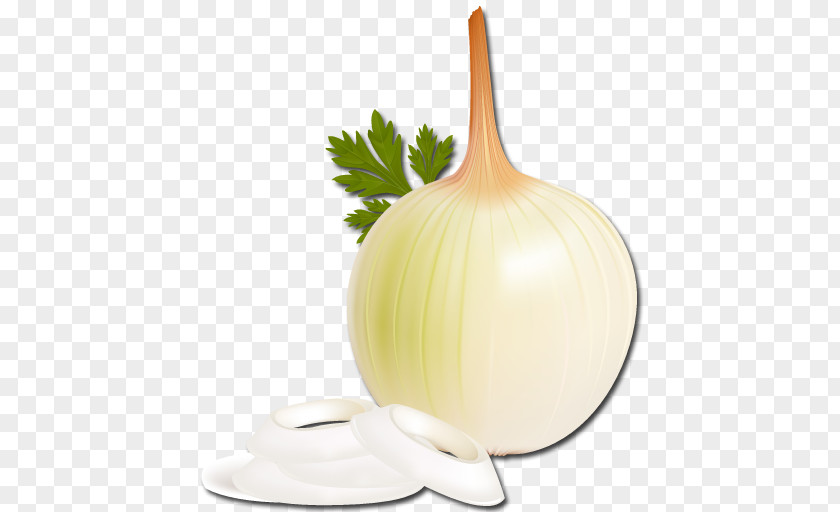 Fit Onion Garlic PNG