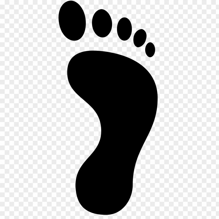 Foot Footprint PNG