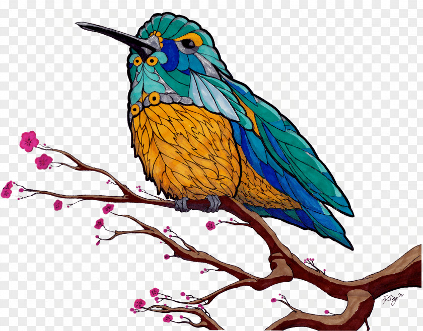 Hand Painted Hummingbird Macaw Beak Feather Clip Art PNG