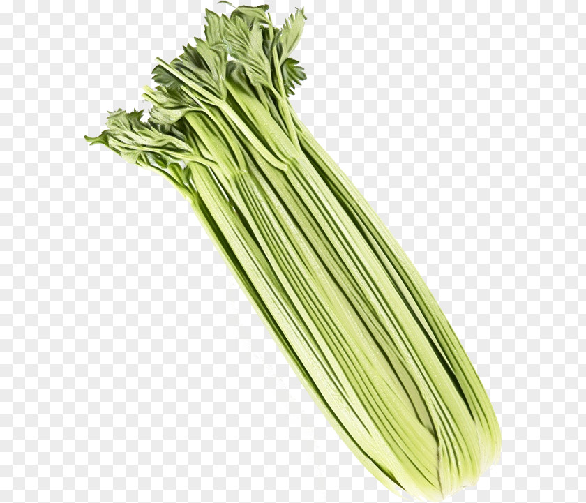 Leaf Vegetable Food Onion Cartoon PNG