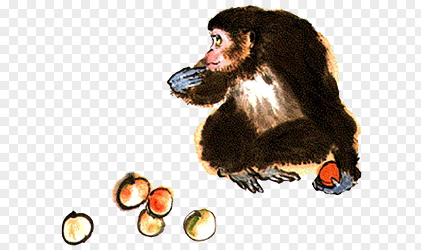 Monkey Eating Fruit Finger Hand PNG